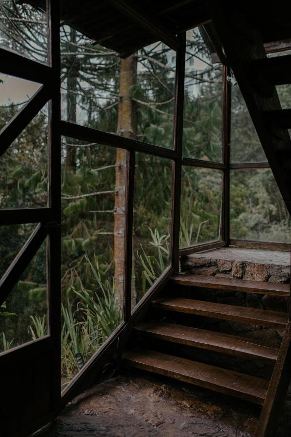 Alive Eco Hut Pousada Monte Verde  Eksteriør billede
